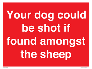Your dog could be shot if found amongst the sheep
